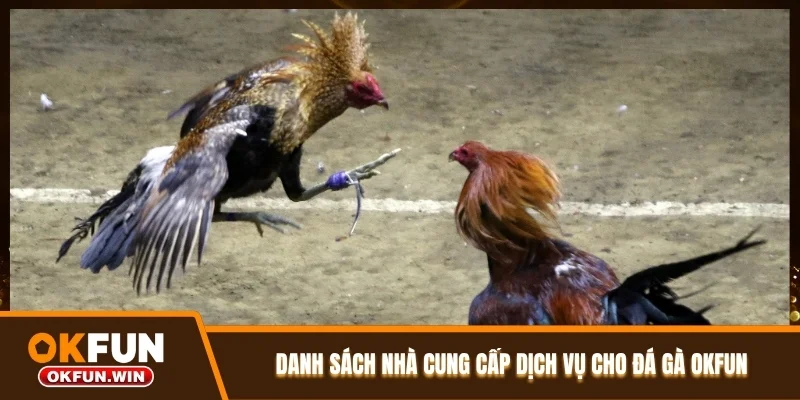 Danh sách nhà cung cấp dịch vụ cho đá gà OKFUN