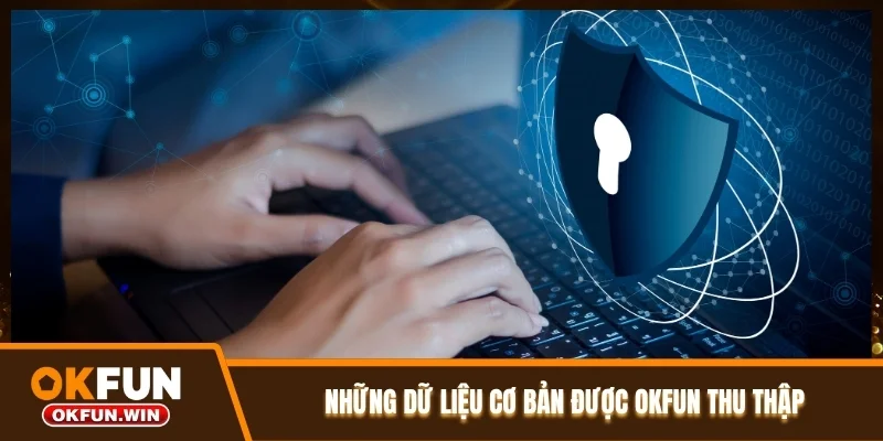 Những dữ liệu cơ bản được OKFUN thu thập Những dữ liệu cơ bản được OKFUN thu thập